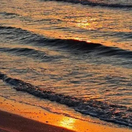 Onix Blue Mamaia Nord *