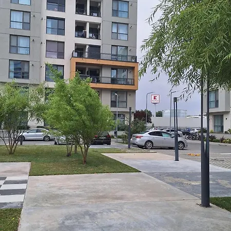 Onix Blue Mamaia Nord Daire *