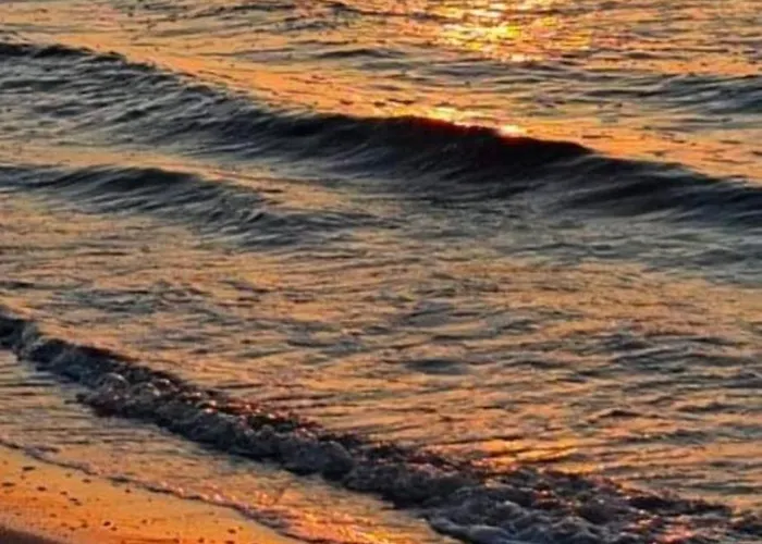 Onix Blue Mamaia Nord *